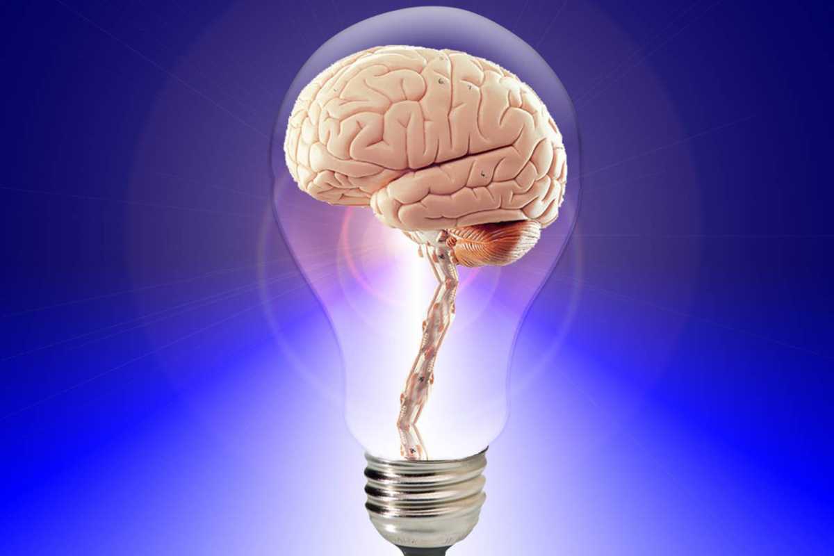 Il cervello e il genio