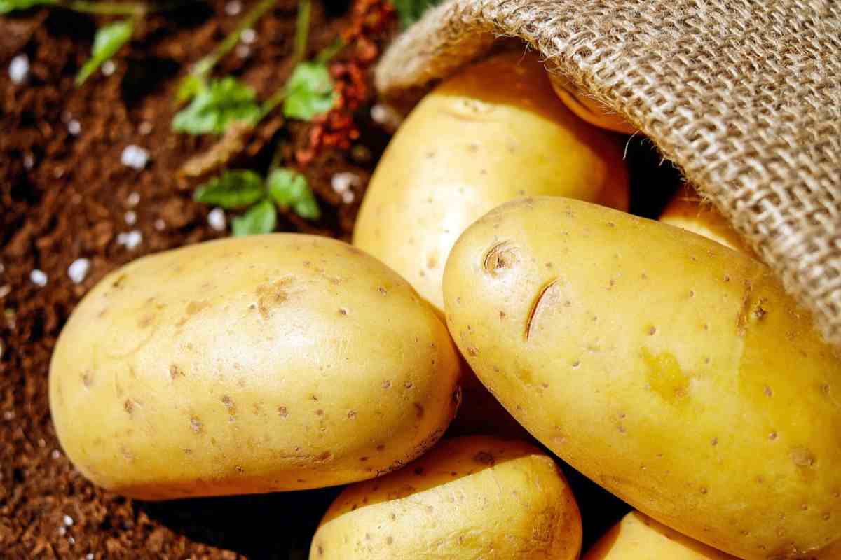 Perché mettere una patata in balcone