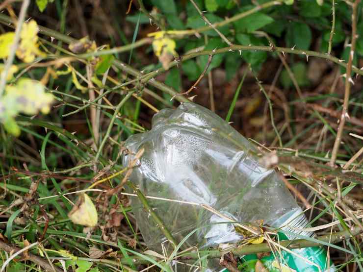 Bottiglia di plastica come irrigatore fai da te Ilgranata