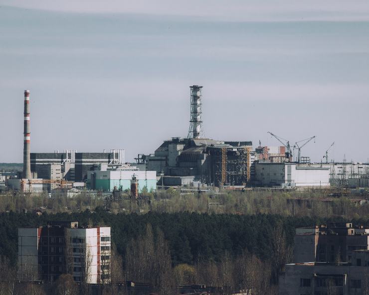 I cani di Chernobyl sono "mutati"