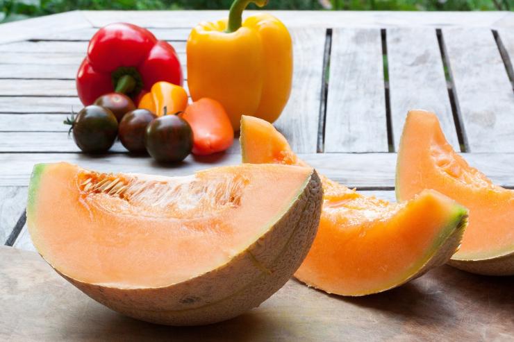 Prepariamo il melone in casa: ecco come coltivarlo