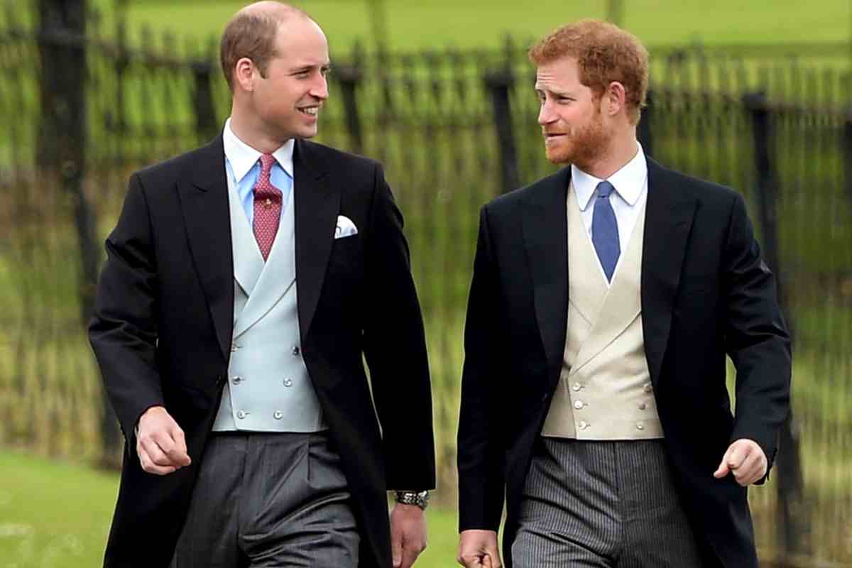 William e Harry incontro