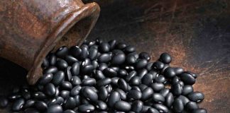 Benefici e proprietà dei fagioli neri