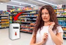 farine insetti novità decreti scaffali speciali