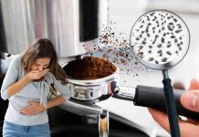 caffè con insetti morti ricerca
