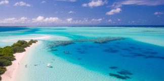 Paradiso terrestre