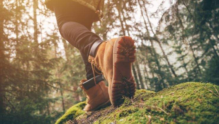 Le ragazze si sono avventurate nella foresta