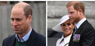 william su harry e meghan gelido