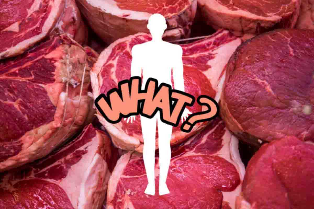 alimentazione carne