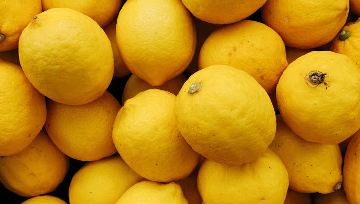 Con questo metodo, avrai la tua coltivazione di limoni in casa