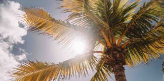Meteo estate 2023, in arrivo un caldo da record in Italia