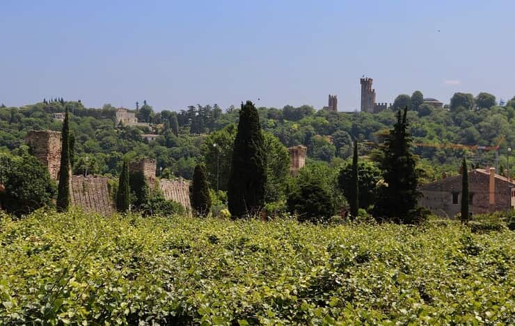 colline veronesi