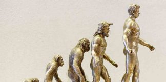 Quali sono le popolazioni più alte del pianeta