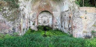 Parco di Roma con i conigli liberi