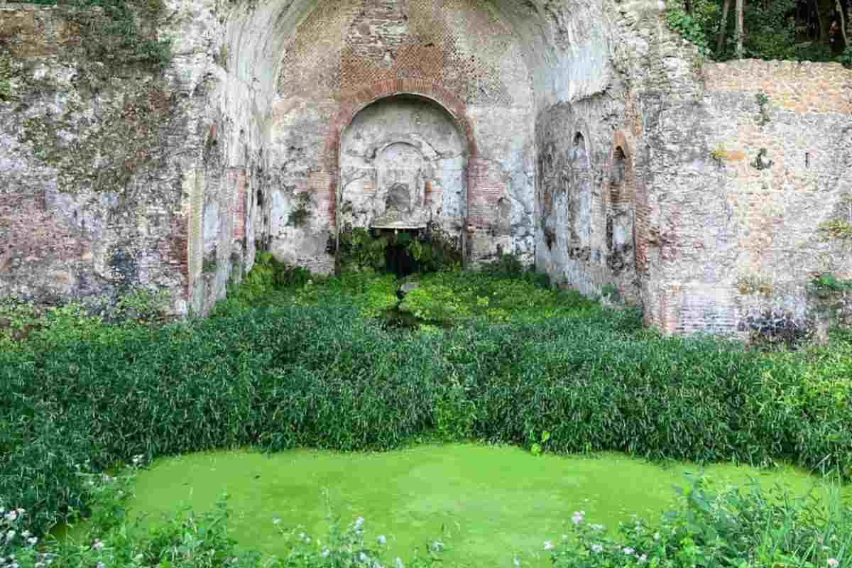 Parco di Roma con i conigli liberi 