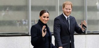 harry meghan crisi
