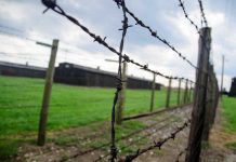 Esperimenti esseri umani seconda guerra mondiale