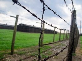 Esperimenti esseri umani seconda guerra mondiale