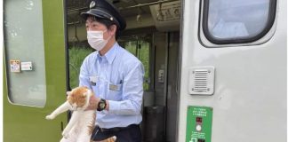 Treno Giappone ritarda