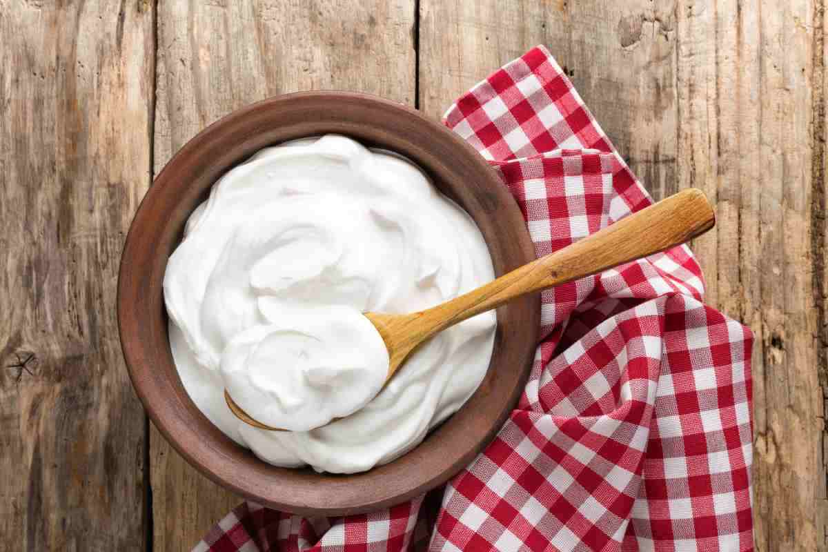 Yogurt fermentazione cibo utile