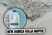 cosa accade se metti candeggina sulla muffa