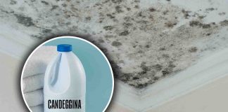 cosa accade se metti candeggina sulla muffa