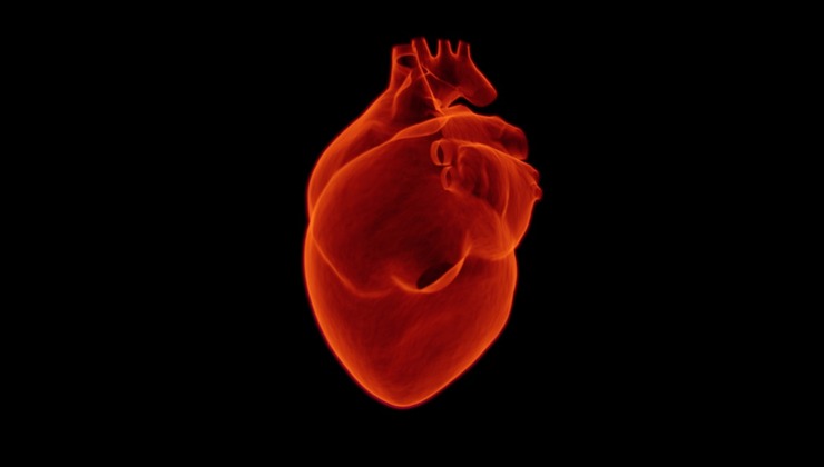 cuore in grafica 3D