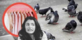 Eliminare macchie di escrementi