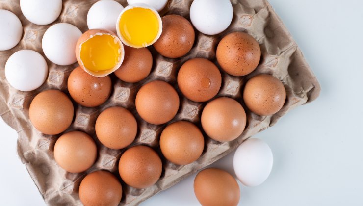 Provenienza uova codice