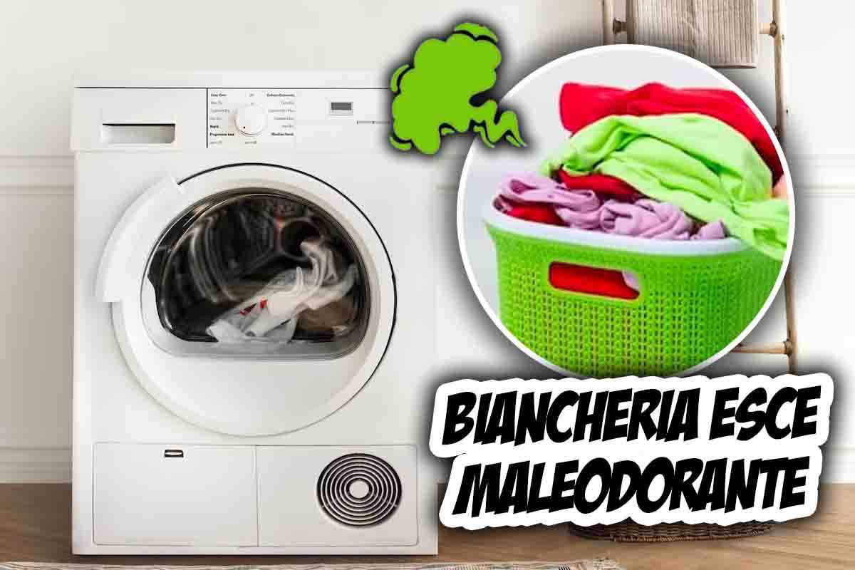 I metodi per detergere la lavatrice