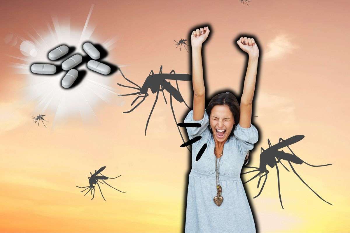 Pastiglie zanzare
