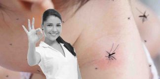 rimedi naturali contro zanzare