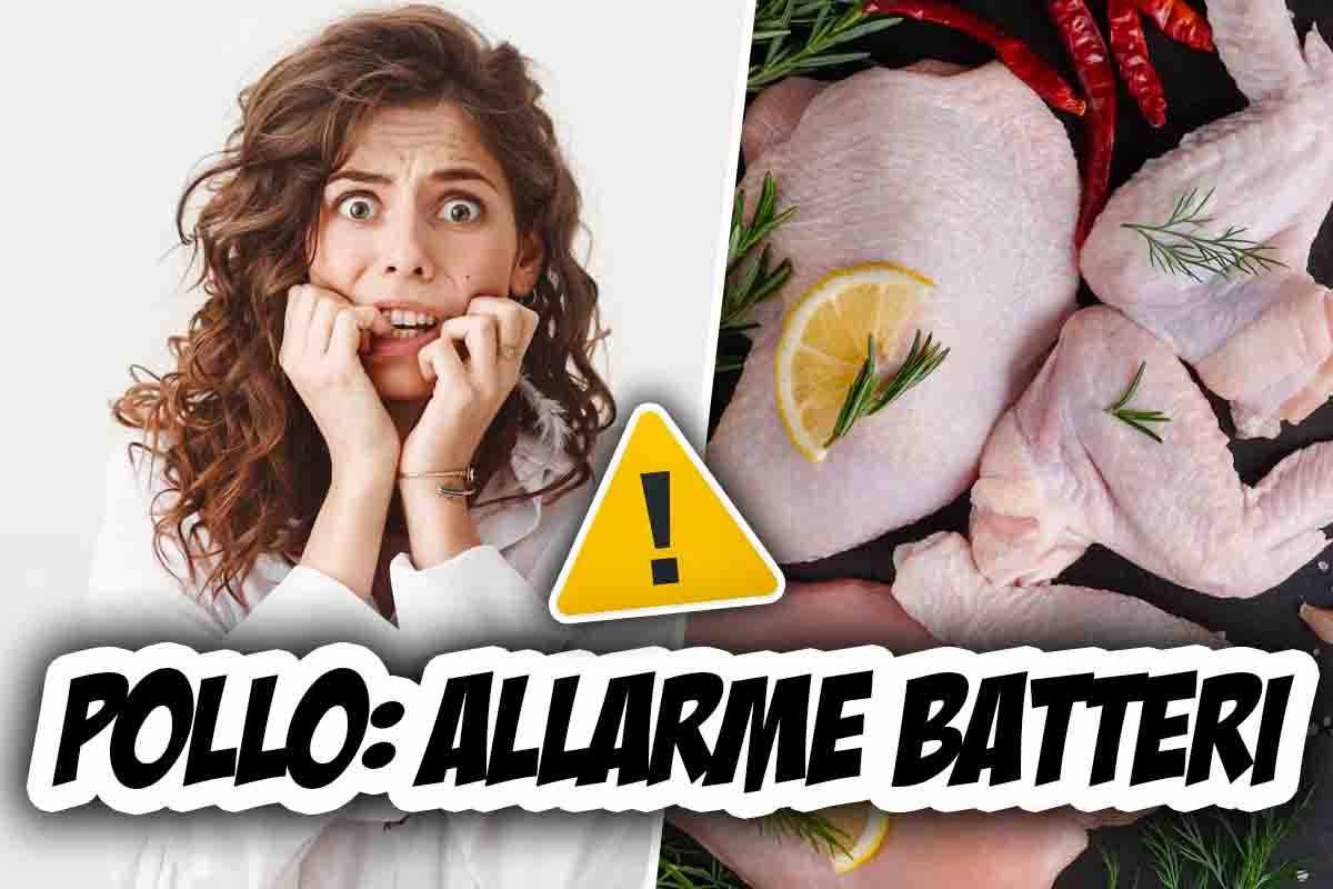 allarme pollo, attenzione