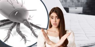 Acari del materasso: come rimuoverli efficacemente