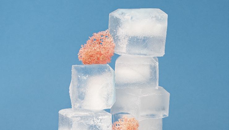 Ecco come fare i cubetti di ghiaccio con la frutta