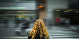 fasi dello sviluppo nella vita adulta