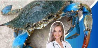 Granchio blu medico