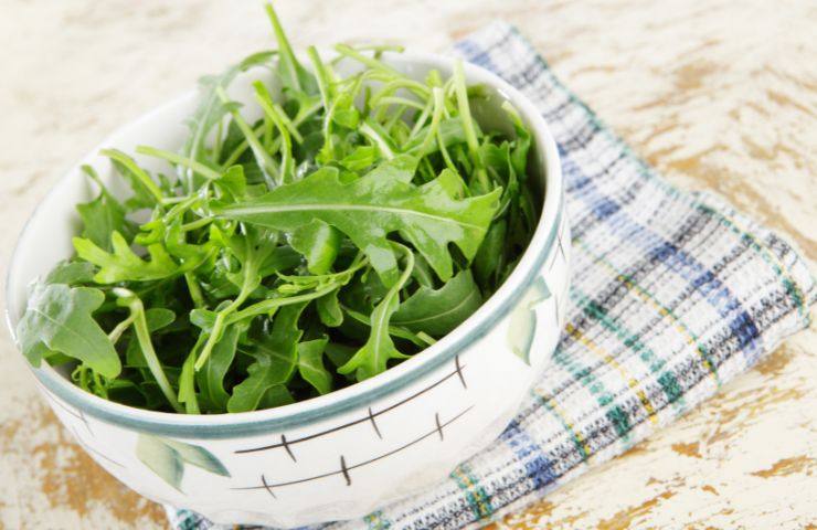 pressione alta rucola