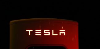 Il geniale Elon Musk e la cuccia per gatti