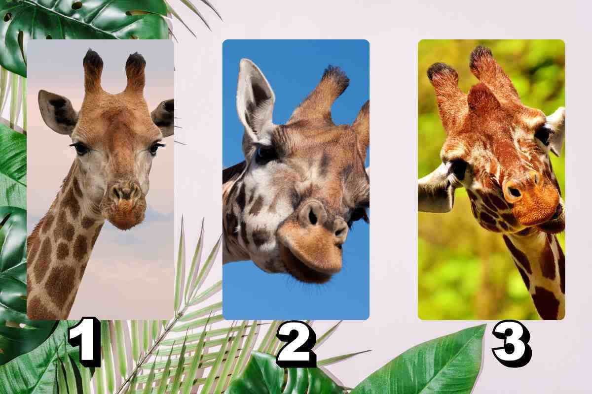 Test della Giraffa