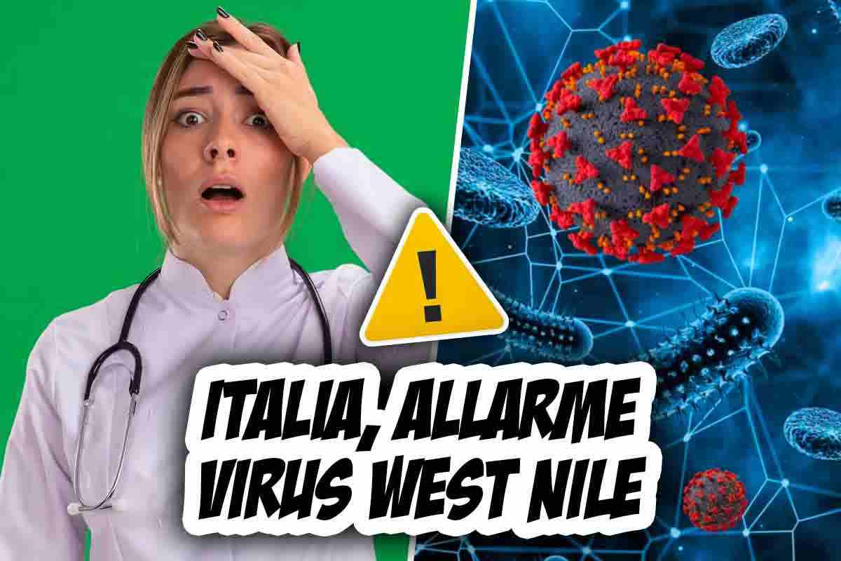 Virus West Nile, è allarme