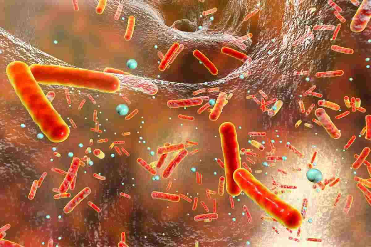 Allarme legionella, ecco cosa sapere 