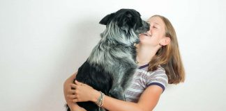 l'affetto espresso dal cane