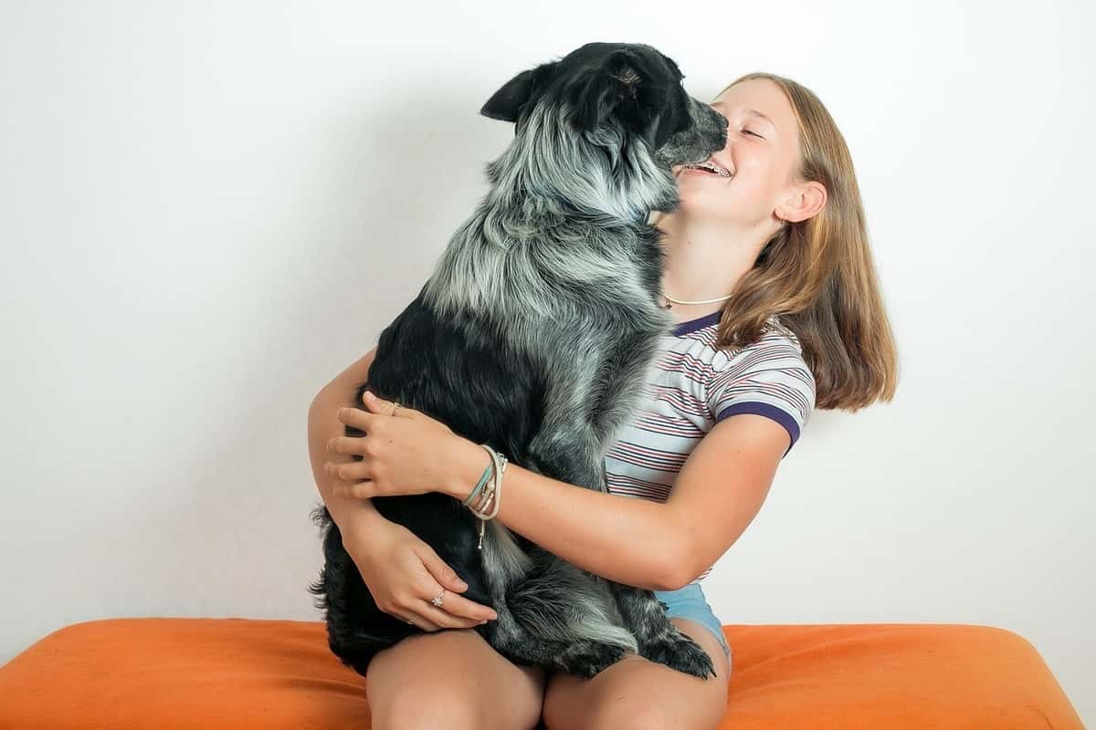 l'affetto espresso dal cane