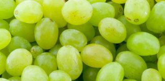 Cosa succede se si mettono 3 chicchi d'uva in un vaso